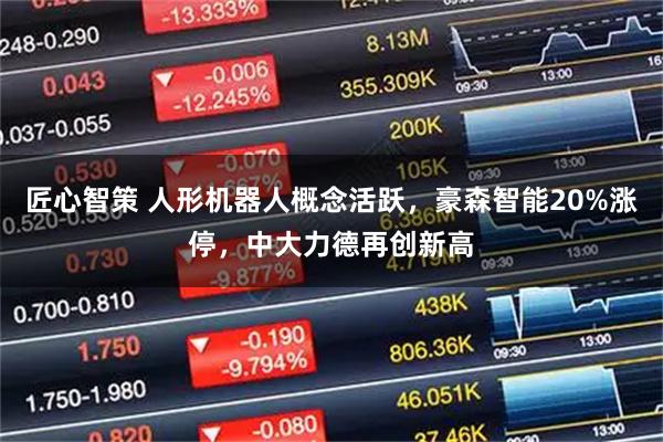 匠心智策 人形机器人概念活跃，豪森智能20%涨停，中大力德再创新高