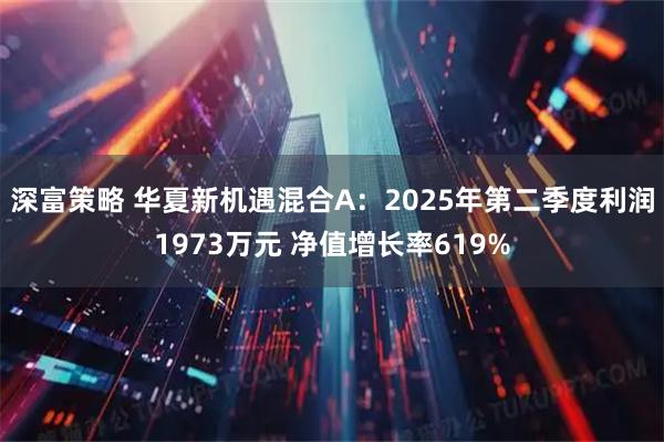 深富策略 华夏新机遇混合A：2025年第二季度利润1973万元 净值增长率619%