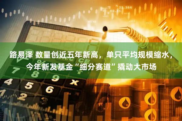 路易泽 数量创近五年新高，单只平均规模缩水，今年新发基金“细分赛道”撬动大市场