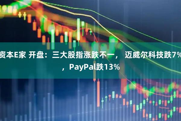 资本E家 开盘：三大股指涨跌不一， 迈威尔科技跌7%，PayPal跌13%